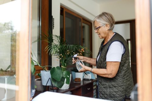 Happy senior woman looking after potted plants at home